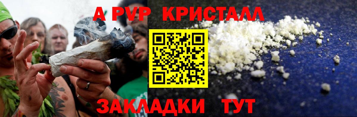 МЕФ Ставрополь