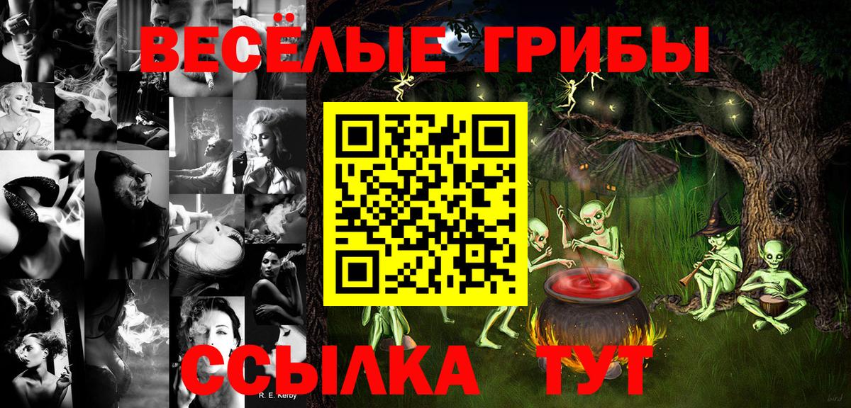 Псилоцибиновые грибы мицелий  Вход с VPN  Ставрополь 